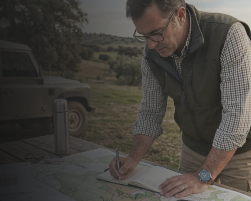 Precio de la hectárea en Andalucía en 2026: tendencias y oportunidades a tener en cuenta