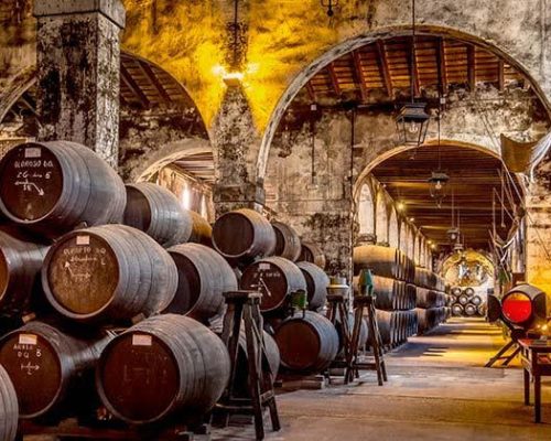 Rentabilidad del viñedo en Jerez en 2026: ¿sigue siendo una buena inversión?