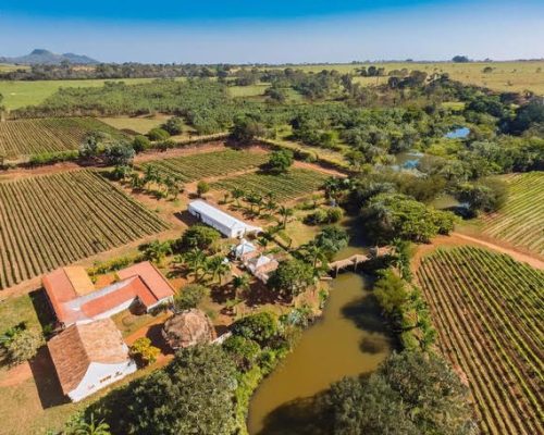 Cómo analizar una finca rústica antes de comprar (guía práctica para inversores)